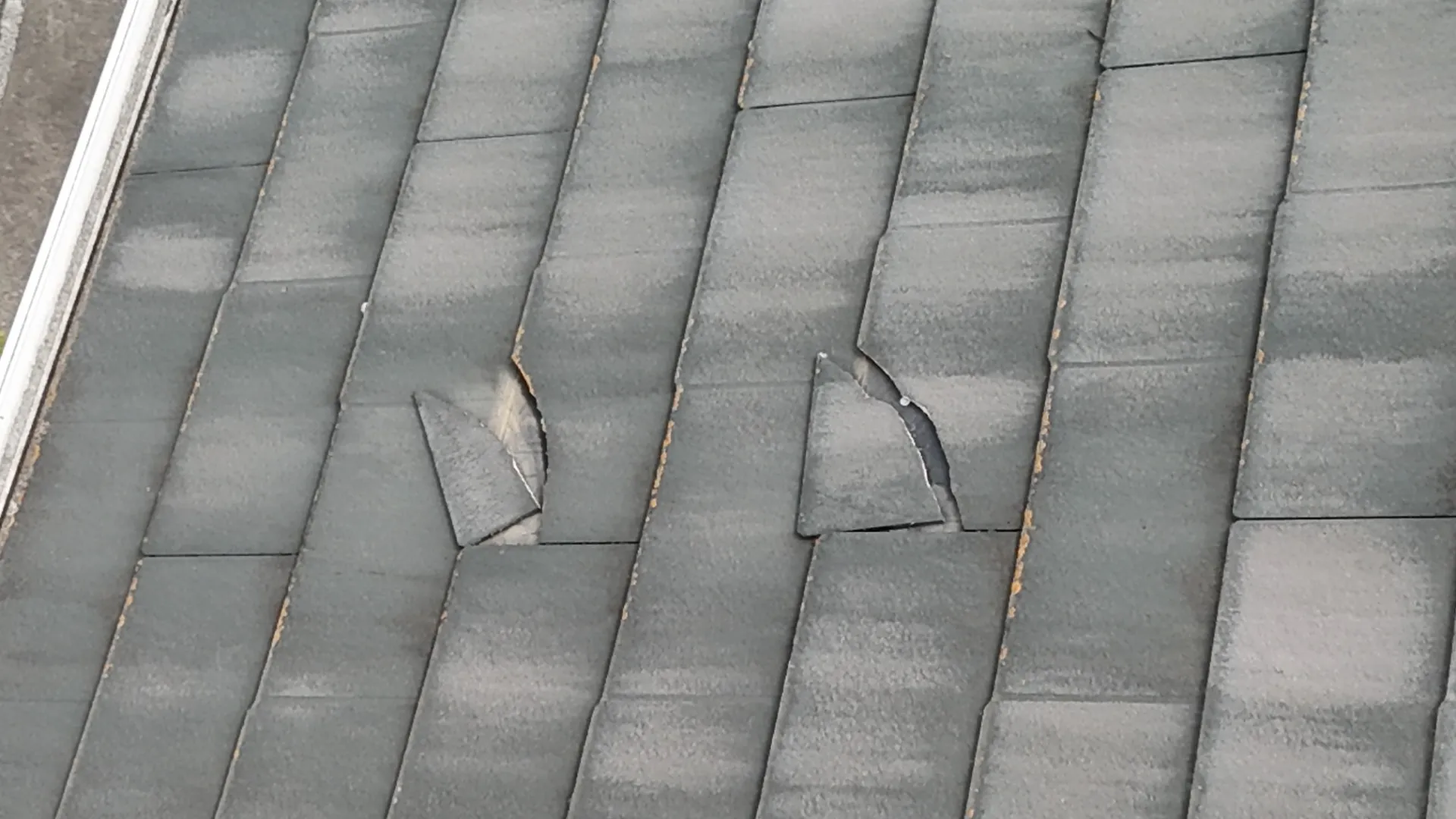 飯能市　屋根カバー工事　現調