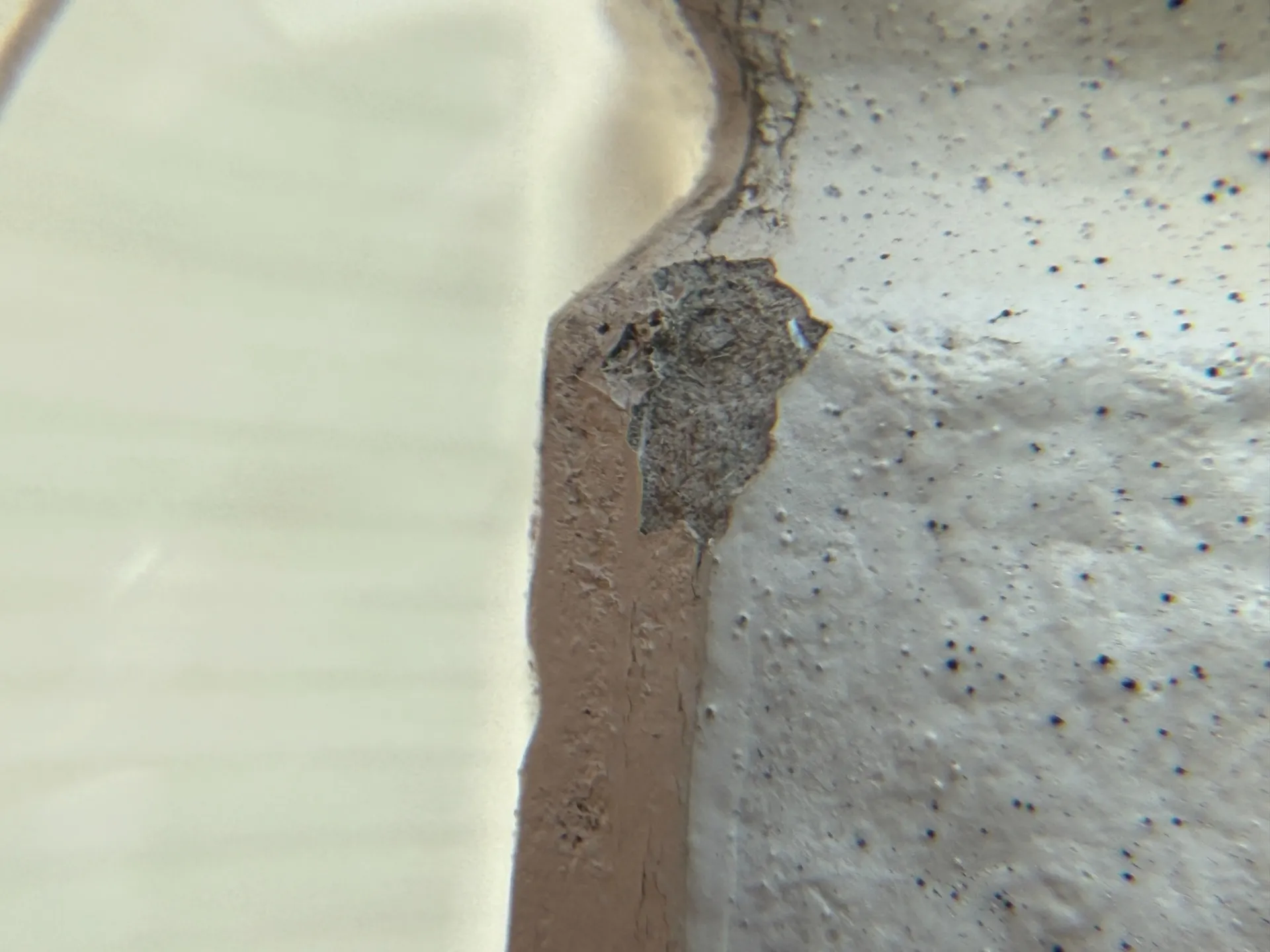 川越市にて外壁塗装の調査