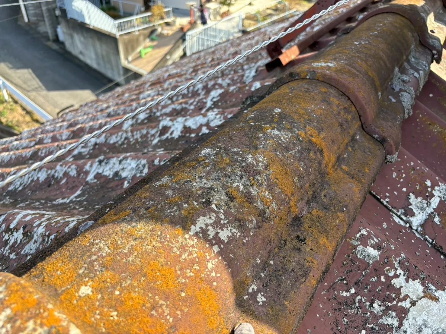 桶川市で外壁塗装と屋根葺き替え現調