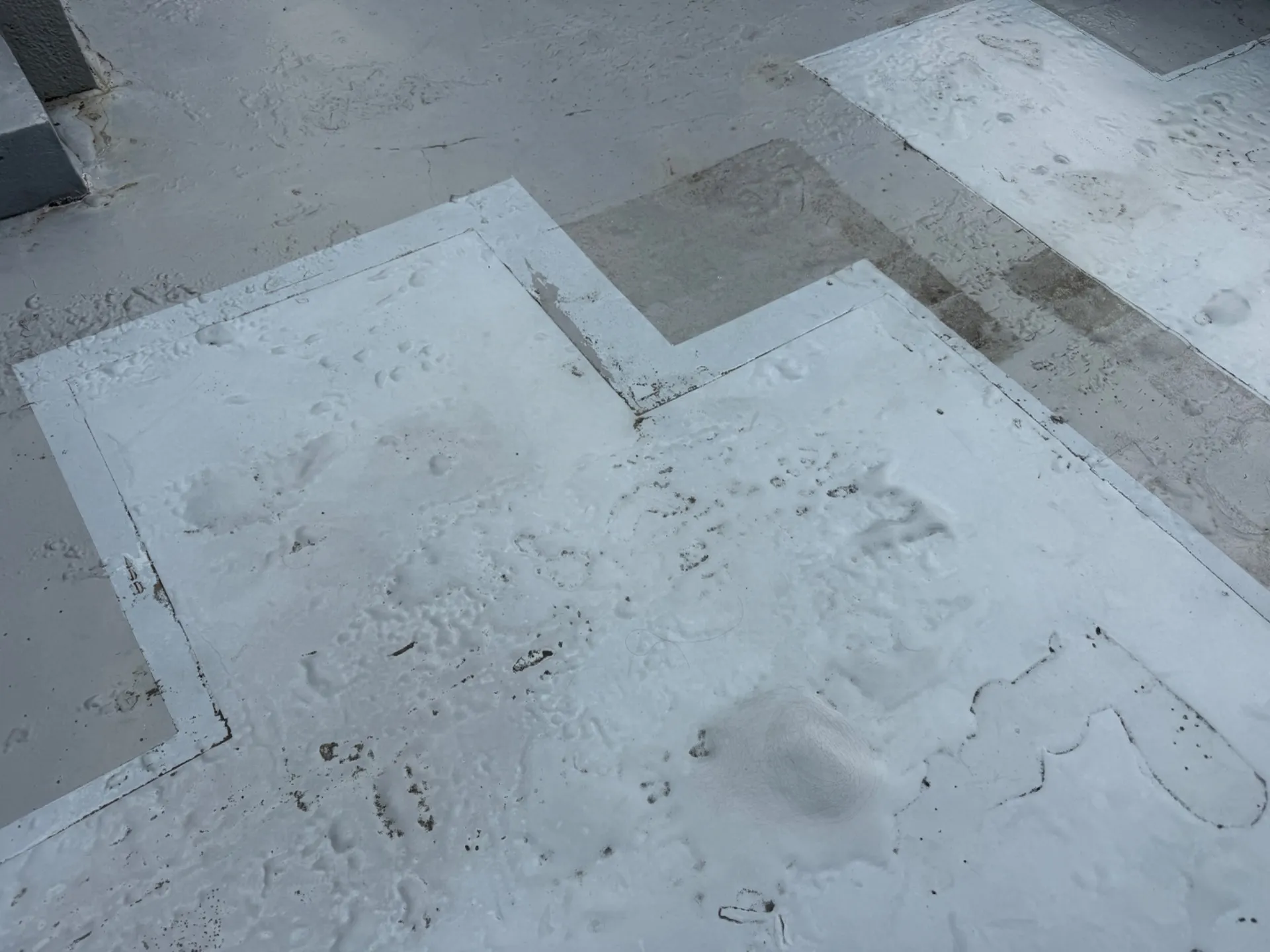 川越市でビルの屋上防水の雨漏り調査